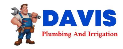 Trusted plumber in LISCO